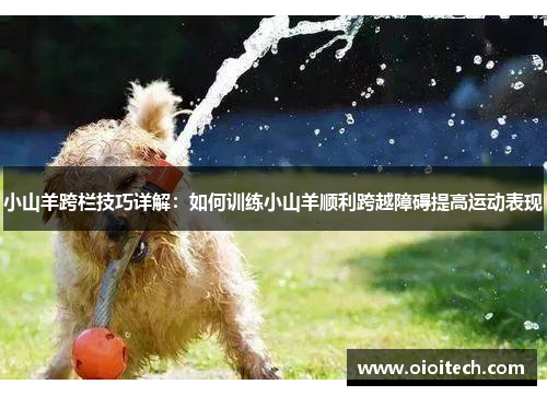 小山羊跨栏技巧详解：如何训练小山羊顺利跨越障碍提高运动表现